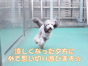 夜間部の時間帯にお散歩♪